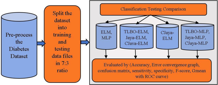 Figure 1: