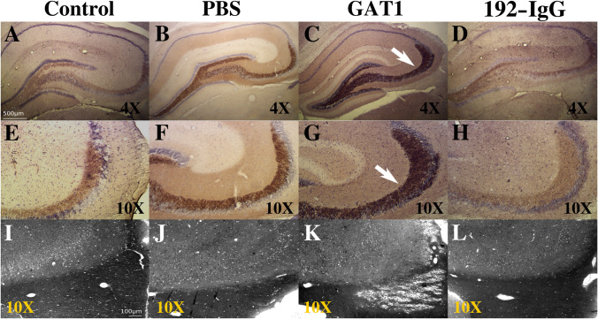 Fig. 7