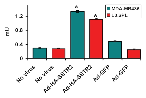 Figure 1e: