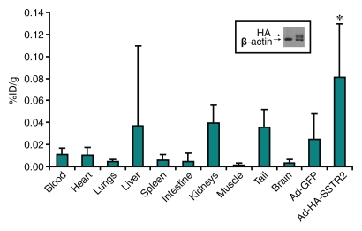 Figure 2f: