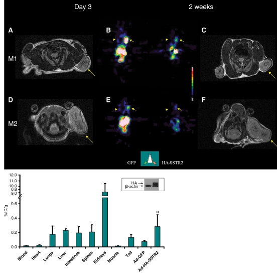 Figure 4: