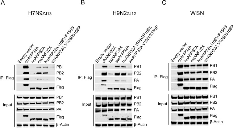 Fig 6