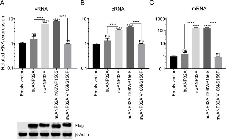 Fig 7