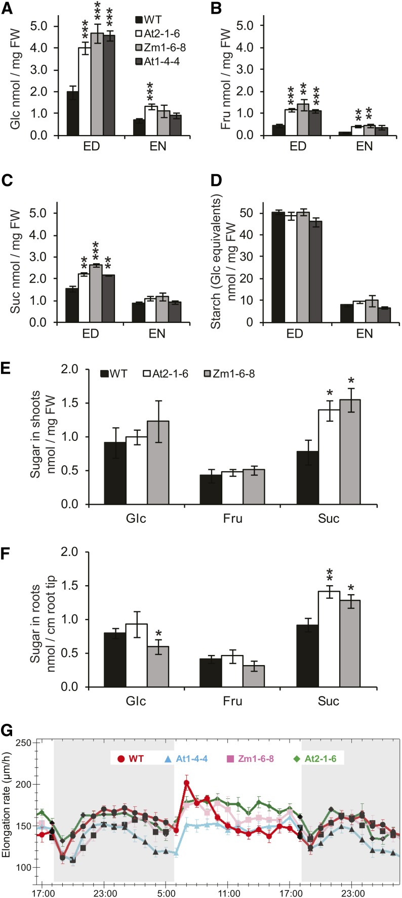 Figure 6.