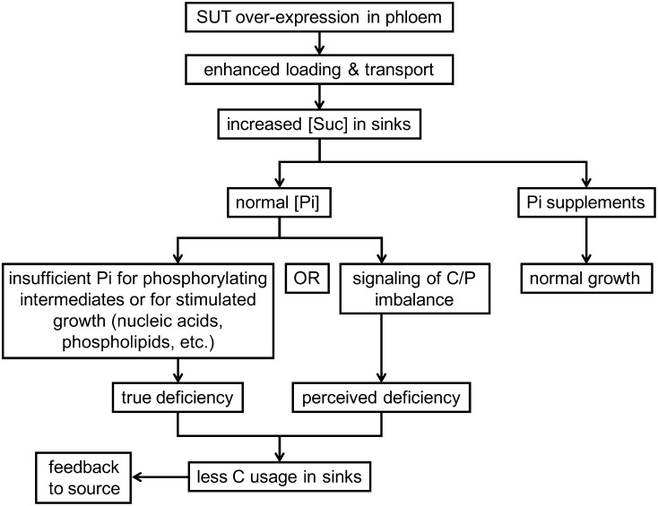 Figure 11.