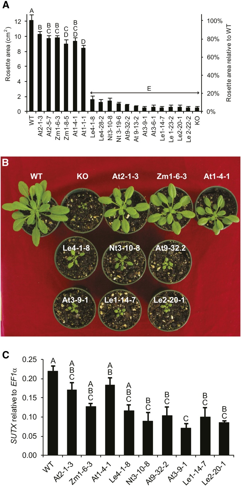 Figure 3.