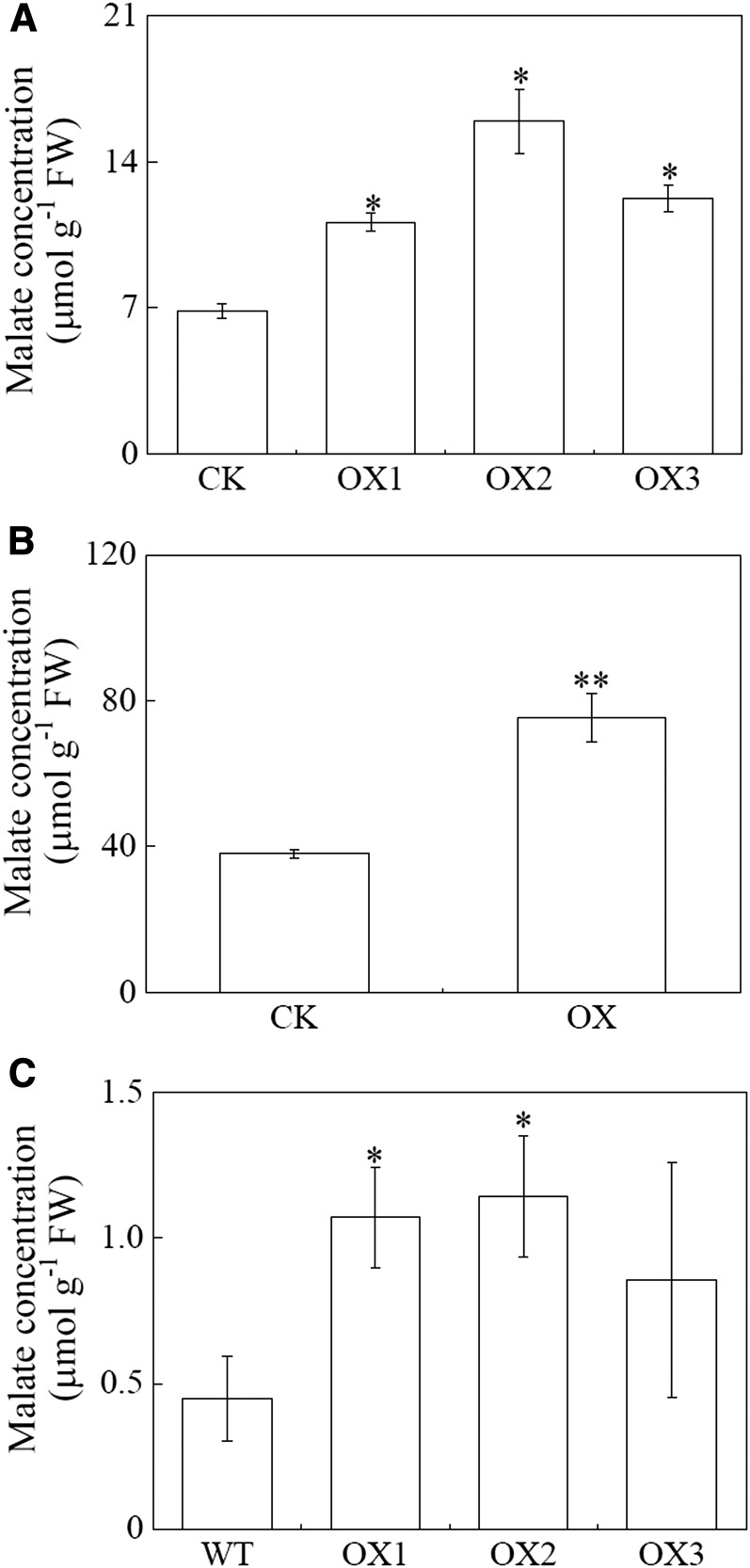 Figure 5.