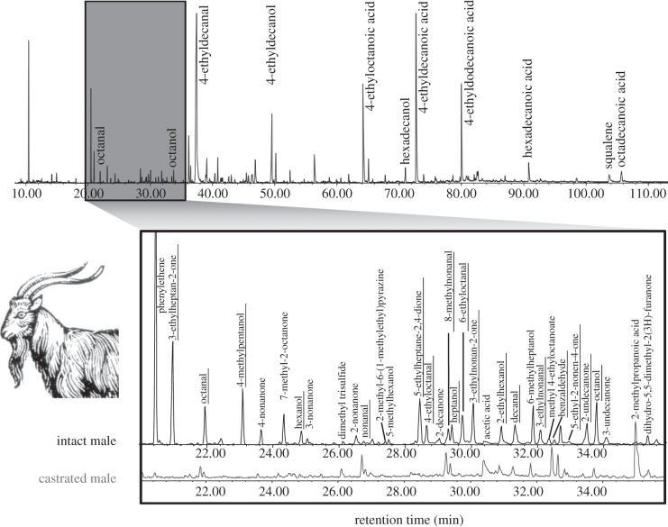 Figure 1.