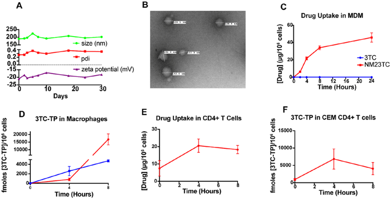 Figure 3.