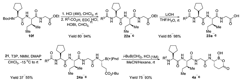 Scheme 4