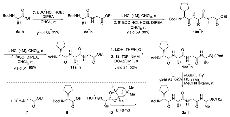 Scheme 1