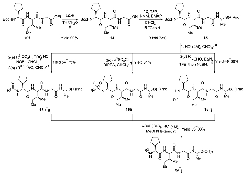 Scheme 2