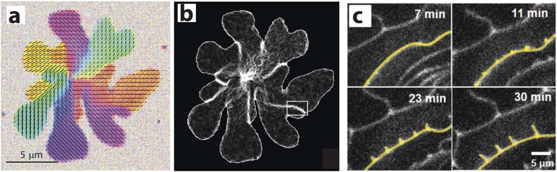 Figure 26.