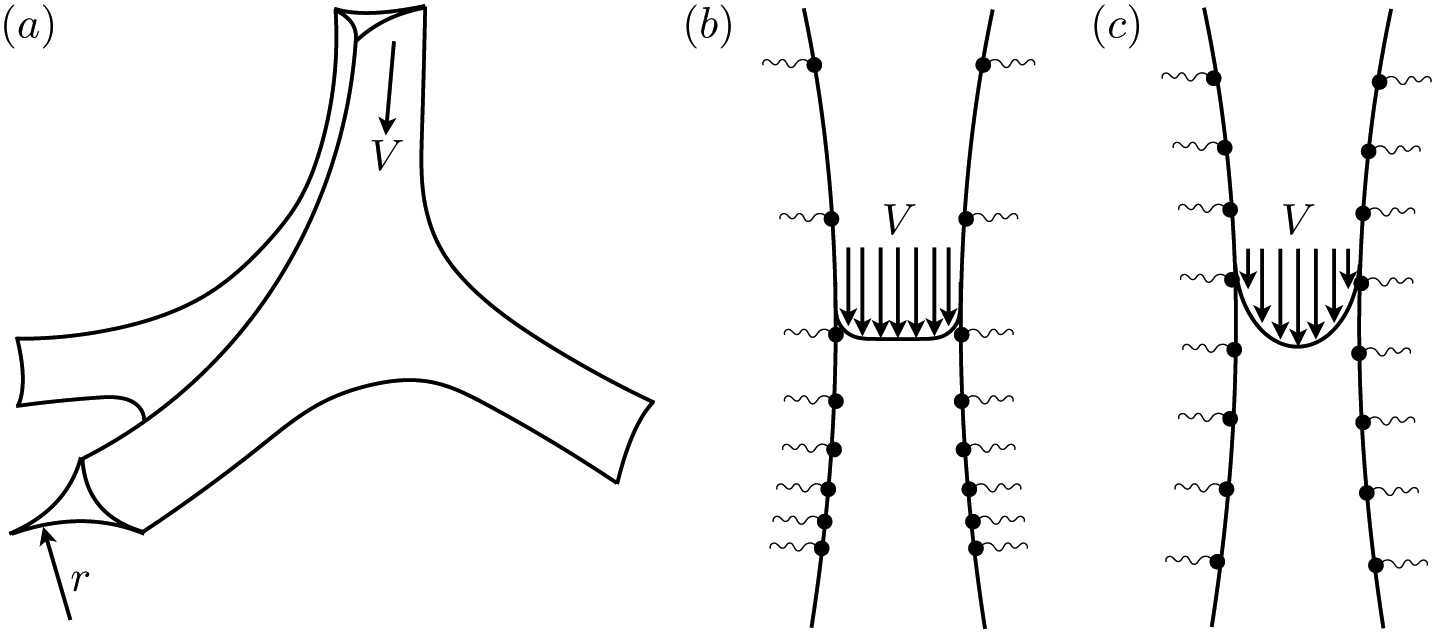 Figure 22.