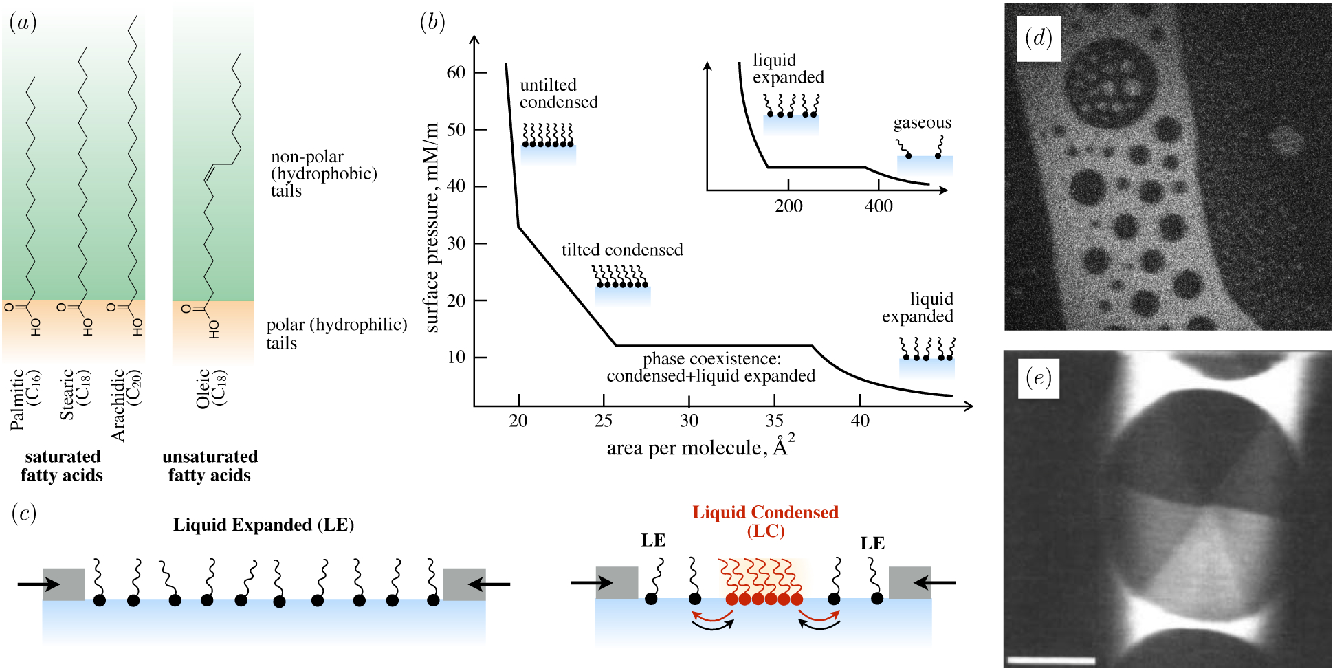 Figure 25.