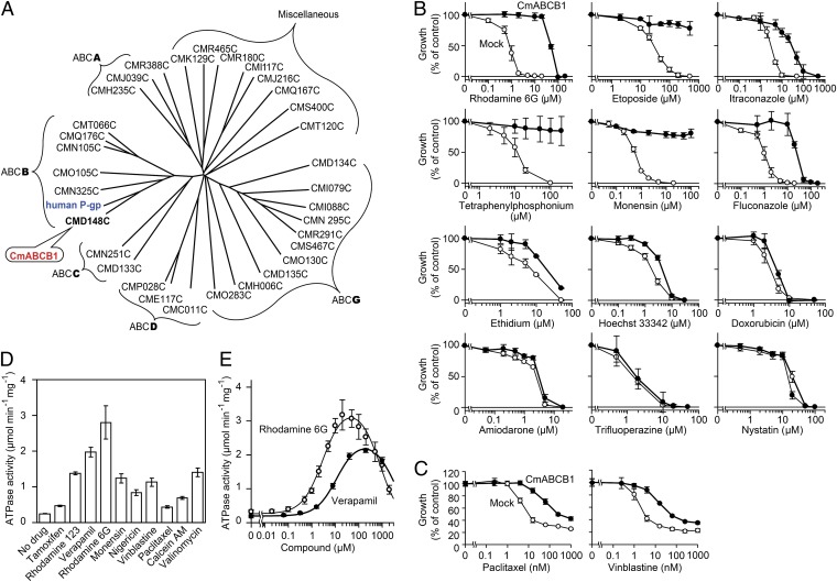 Fig. 1.