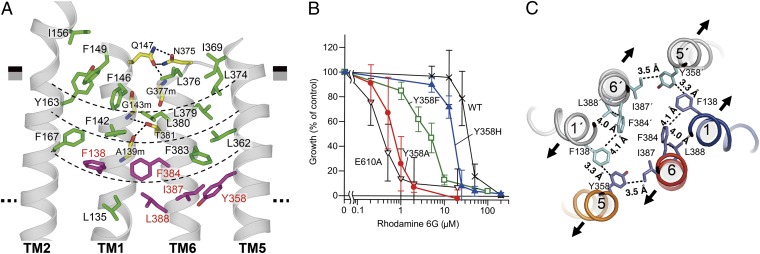 Fig. 3.