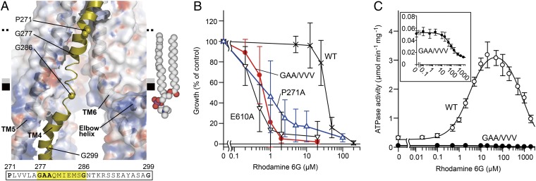 Fig. 4.