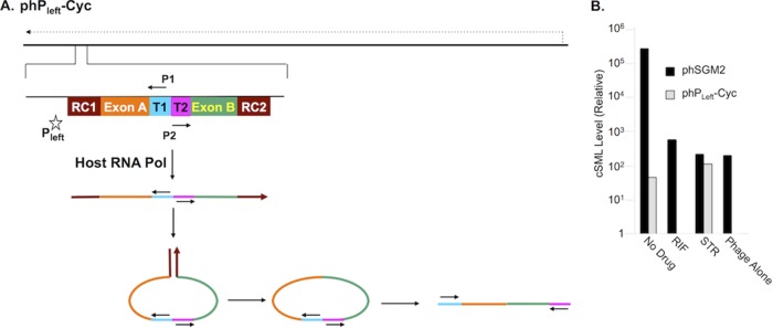 FIG 3