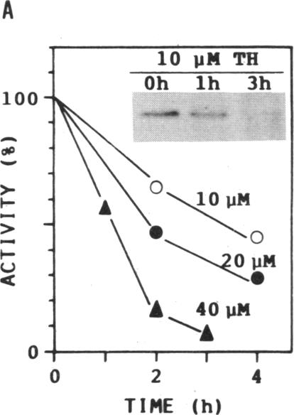 graphic file with name pnas01131-0401-a.jpg