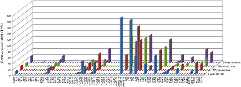 Figure 6