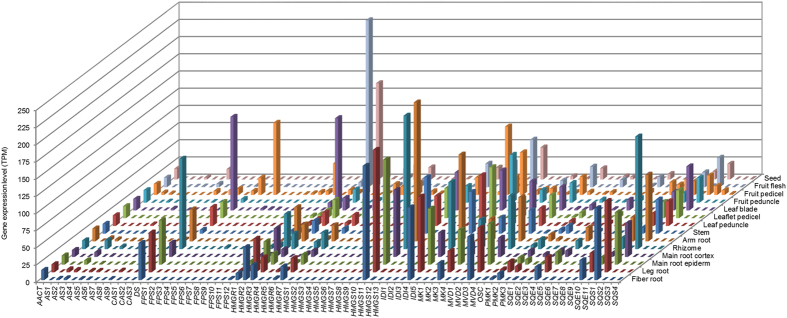 Figure 5