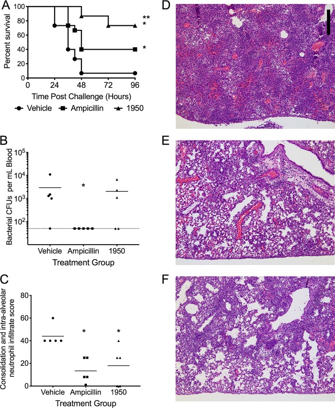 FIG 6