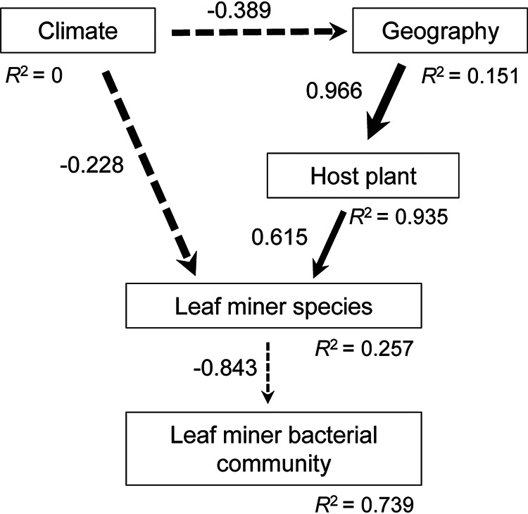 FIG 2