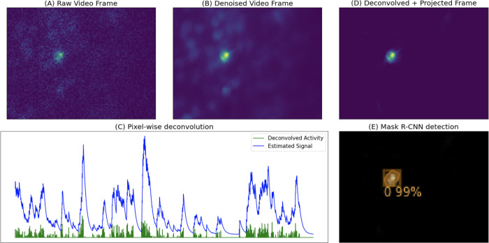 Figure 1: