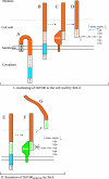FIG. 6.
