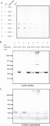 FIG. 3.