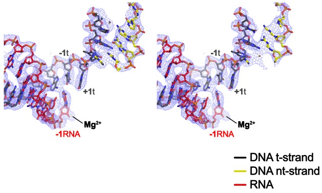 Figure 2—figure supplement 2.