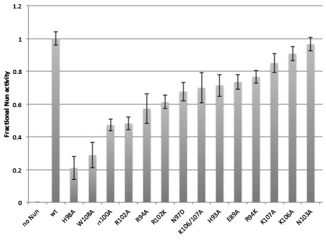 Figure 5—figure supplement 1.