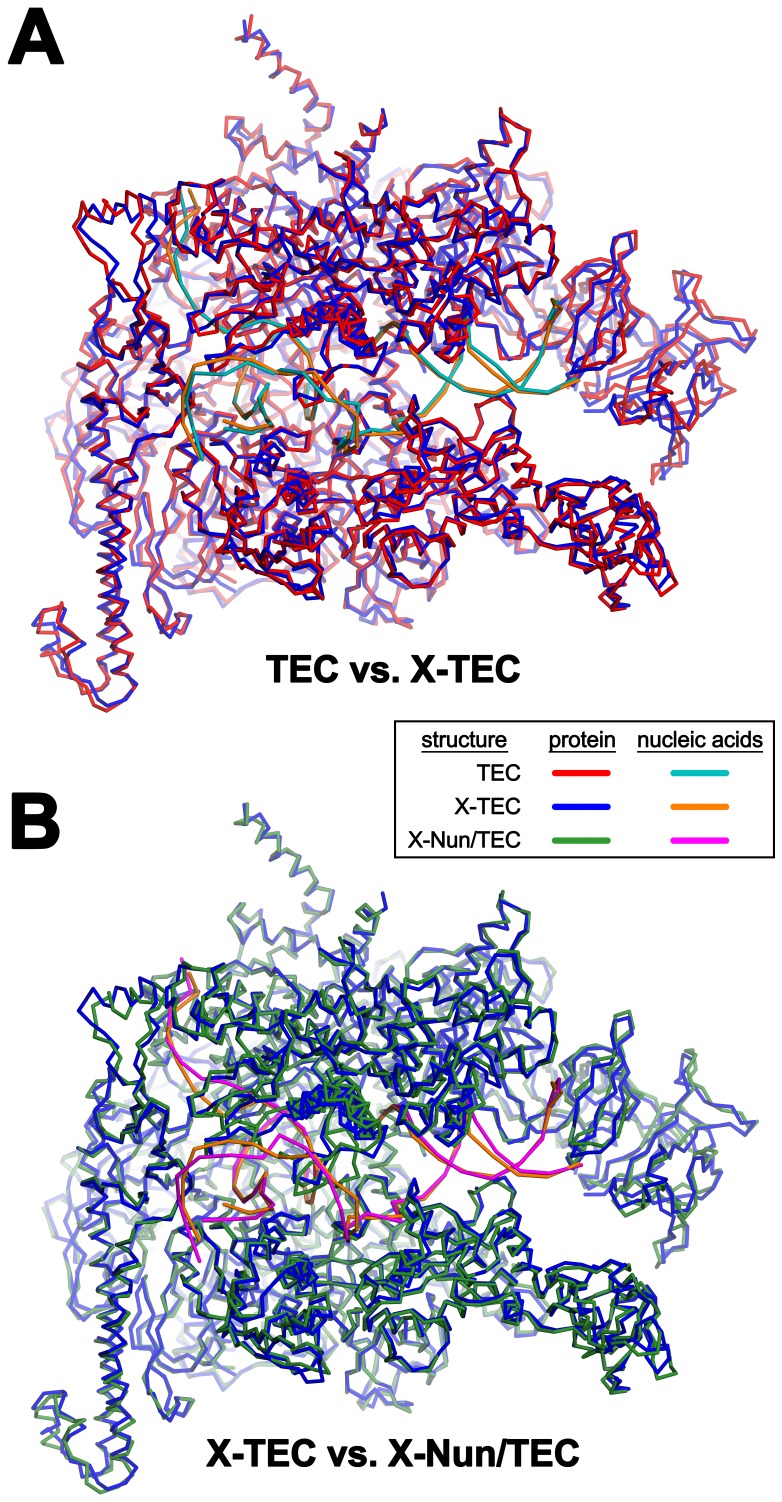 Figure 1—figure supplement 5.