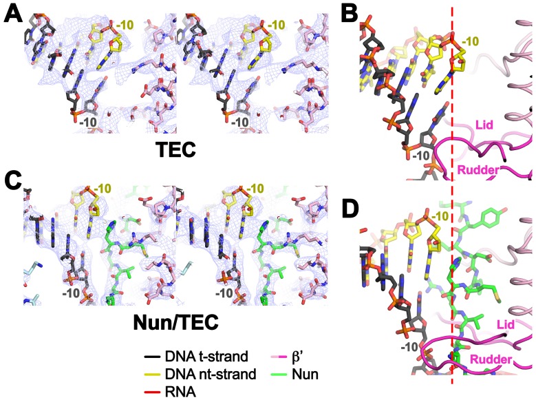 Figure 3—figure supplement 2.