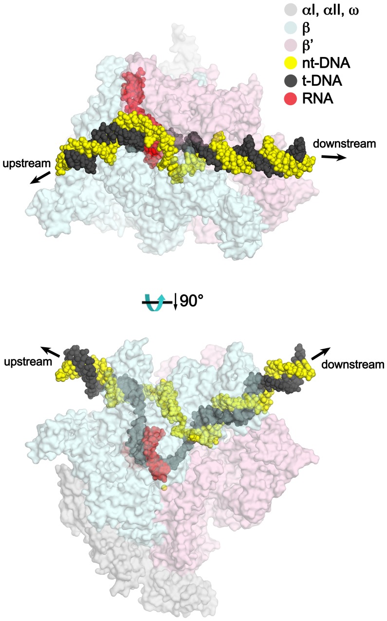 Figure 3—figure supplement 3.