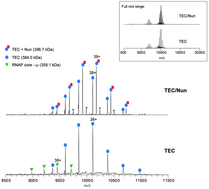 Figure 1—figure supplement 1.