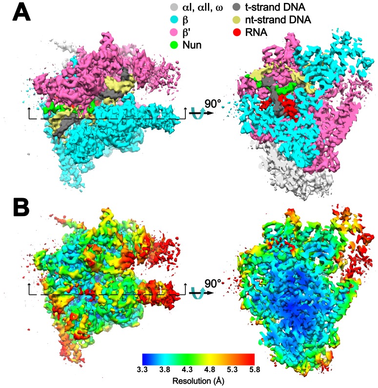 Figure 1—figure supplement 6.