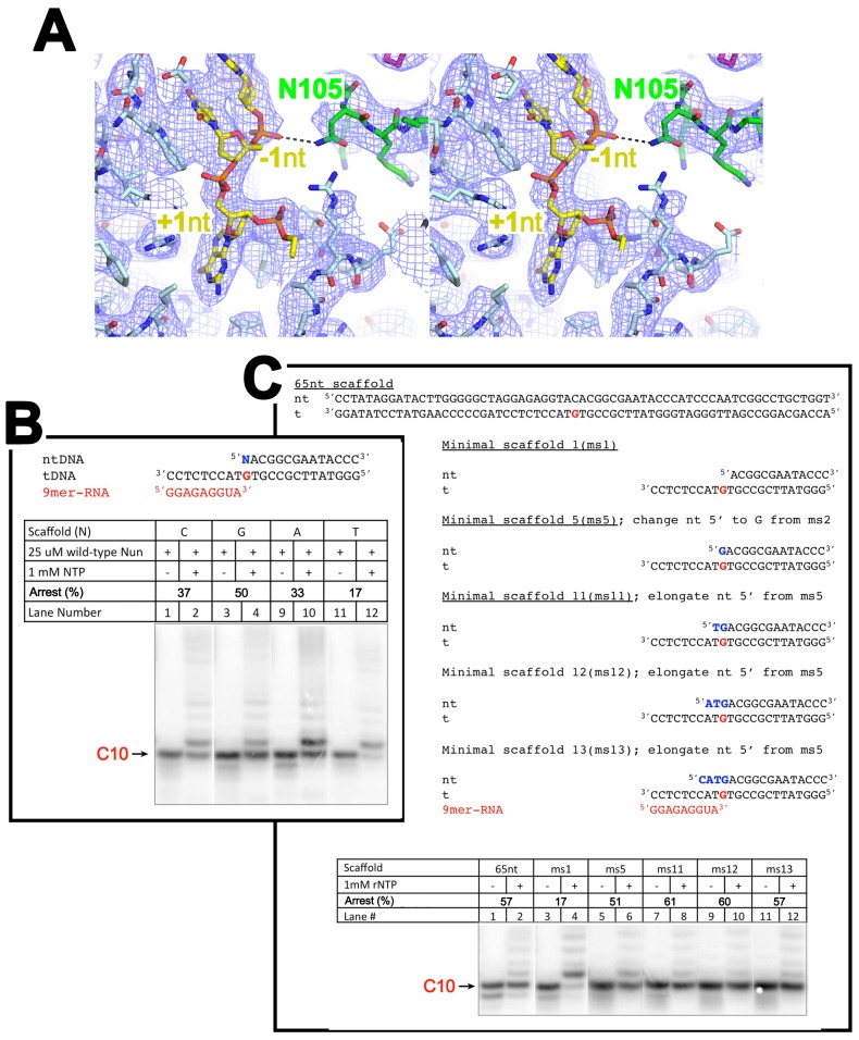 Figure 2—figure supplement 1.