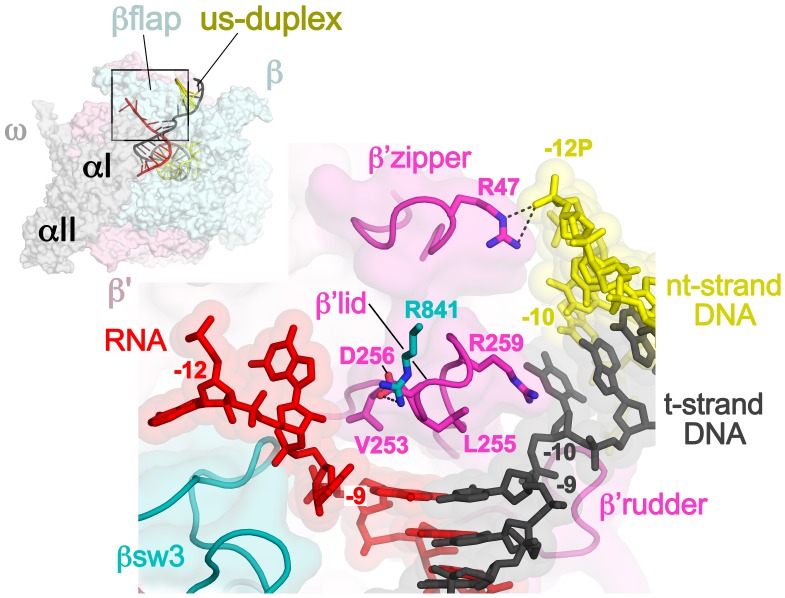 Figure 3.