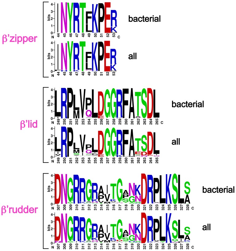 Figure 3—figure supplement 1.