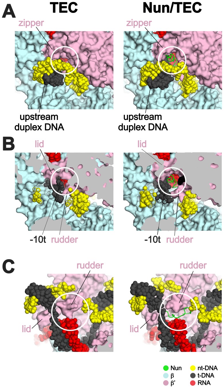 Figure 6.