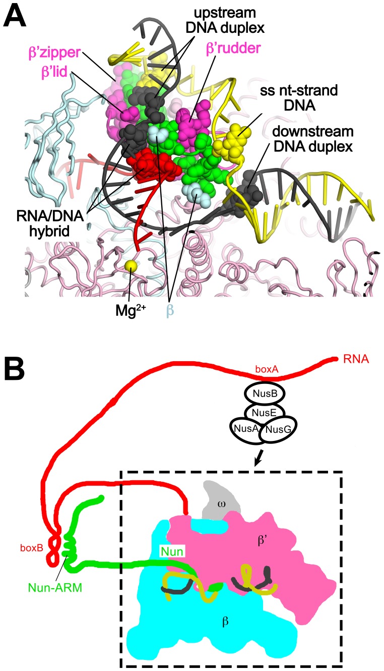 Figure 7.