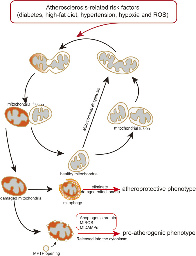 FIGURE 3