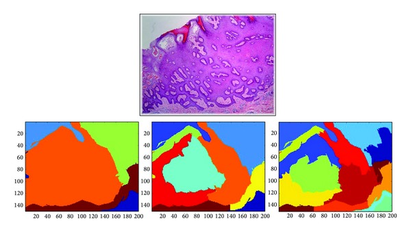 Figure 11