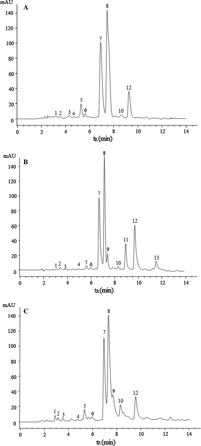 Fig. 1