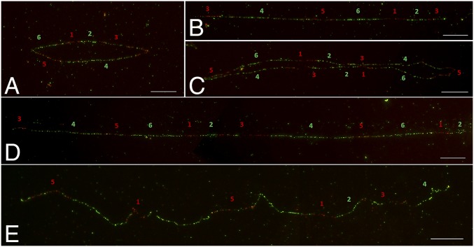 Fig. 2.