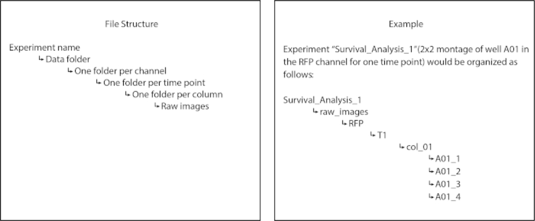 Figure 2: