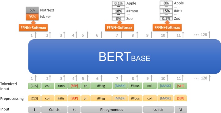 Figure 6: