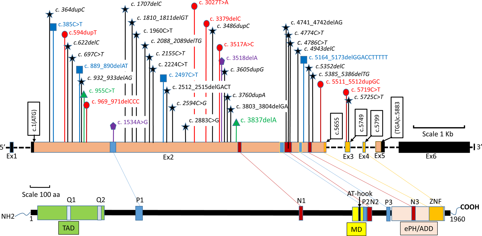 Figure 1: